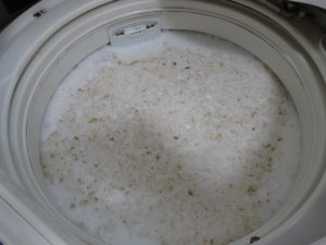 洗濯機（洗浄前）3