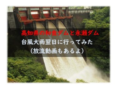 高知県和食ダムと永瀬ダム