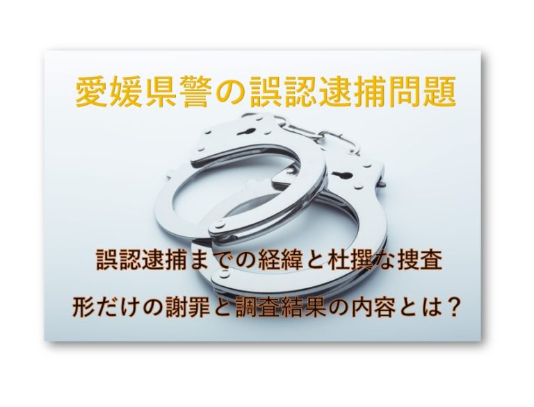 愛媛県警誤認逮捕問題