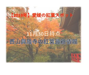 【2019年】愛媛県西山興隆寺の紅葉最新情報！【もみじ寺】
