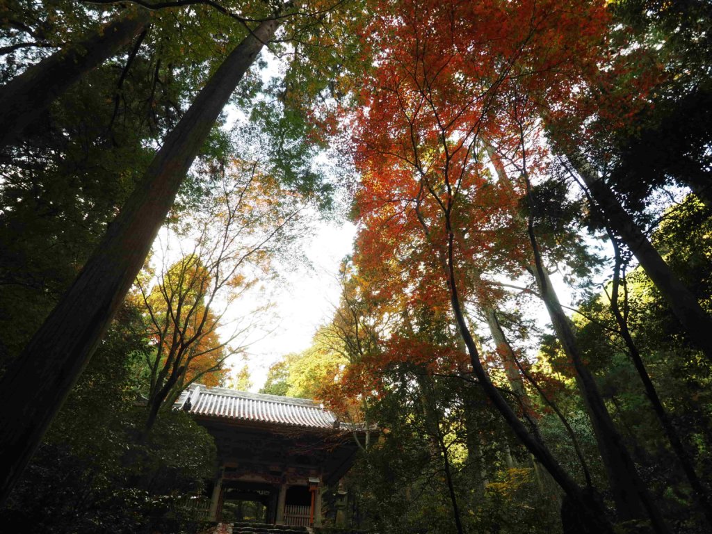 ２０２０年西山興隆寺