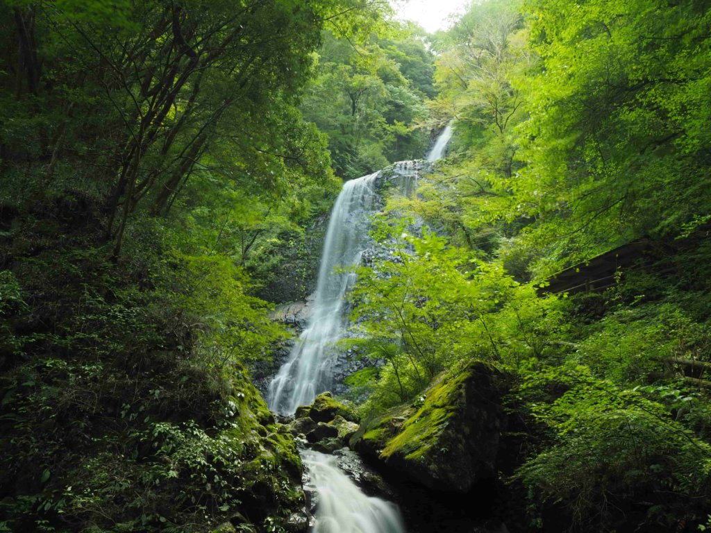 愛媛県東温市「白猪の滝」