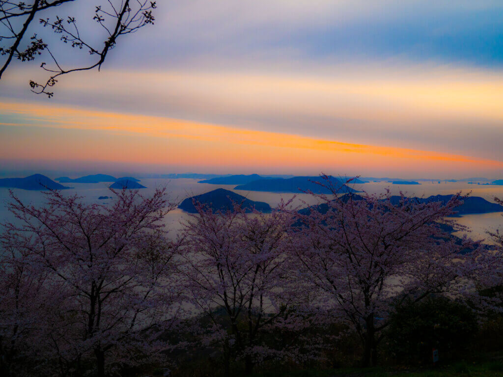 紫雲出山桜満開時に日の出を見に行った