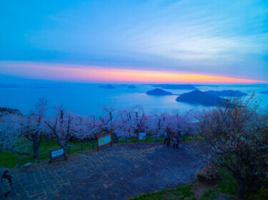NYタイムズに選ばれた香川県紫雲出山へ桜満開時に日の出を見に行った