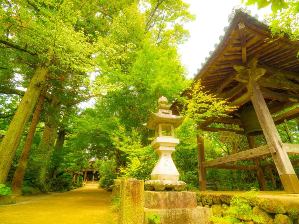 愛媛県の蓮スポット、浄瑠璃寺へ